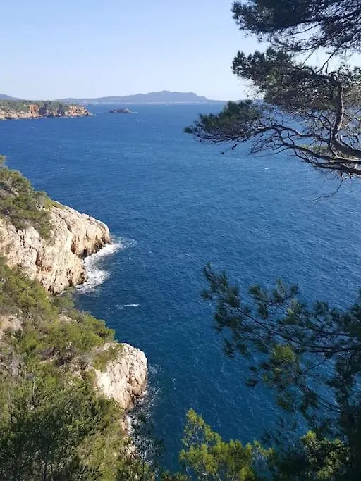 Bandol 