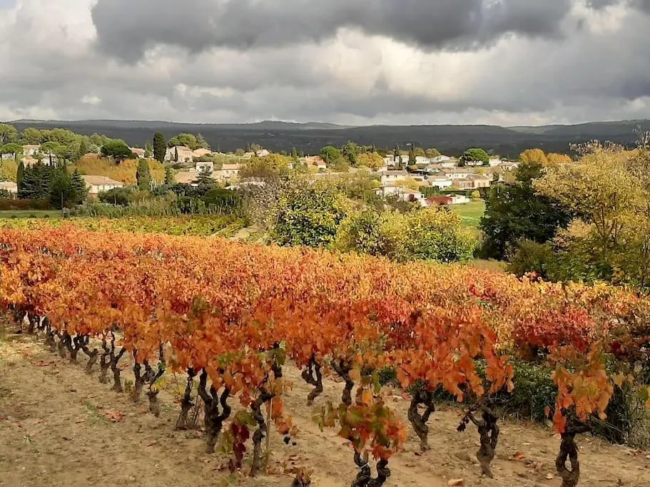 Bandol 