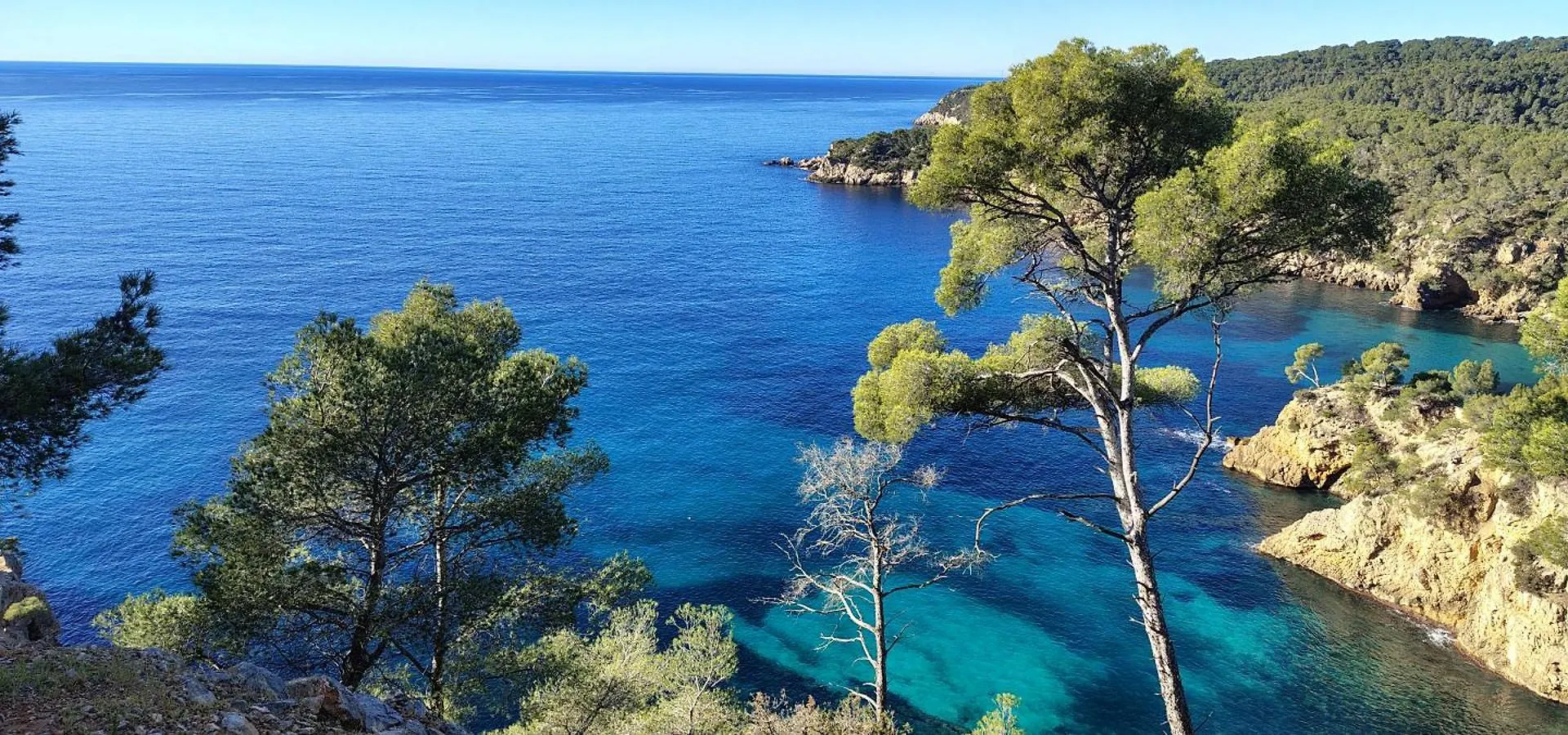 Bandol 